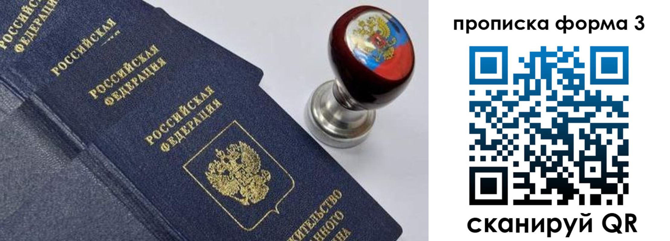 прописка 2025 в Ермолино
